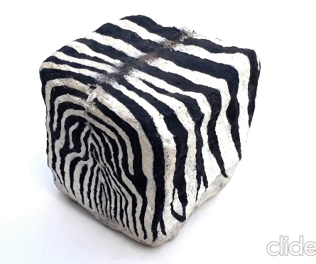 pave de paris zebre