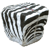 art paris zebre