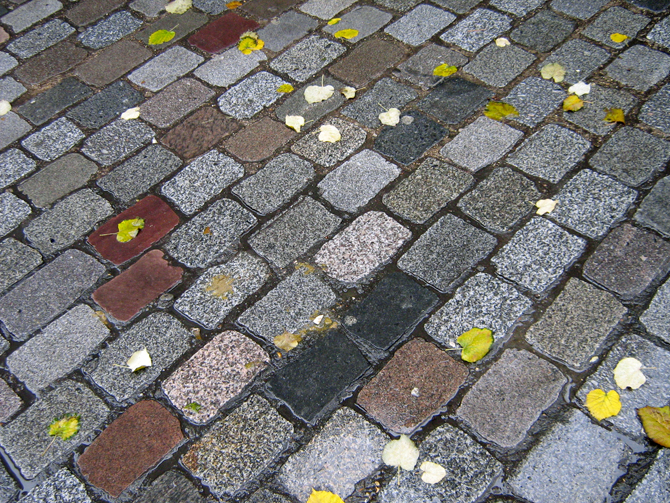Pavés mouillés rue de Paris