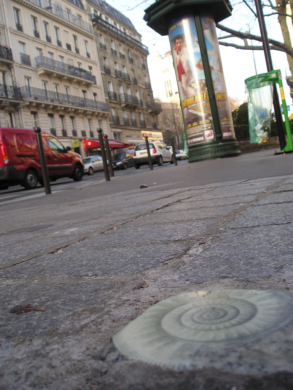 art installation ammonite street paris